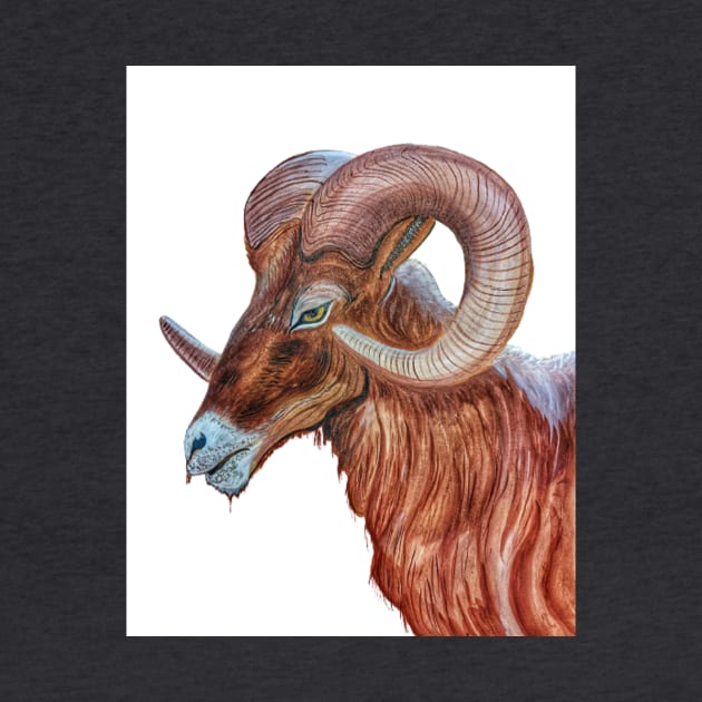 Bighorn Ram by Matt Starr Fine Art